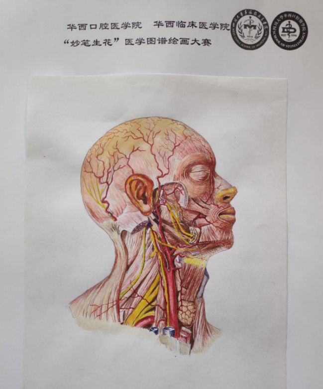 图片1.jpg 图片1.jpg