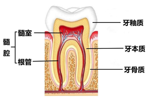 图片13.jpg 图片13.jpg