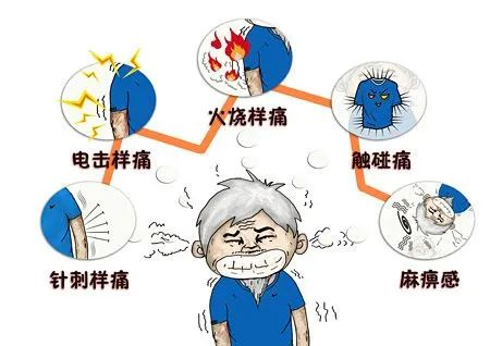 图片29.jpg 图片29.jpg