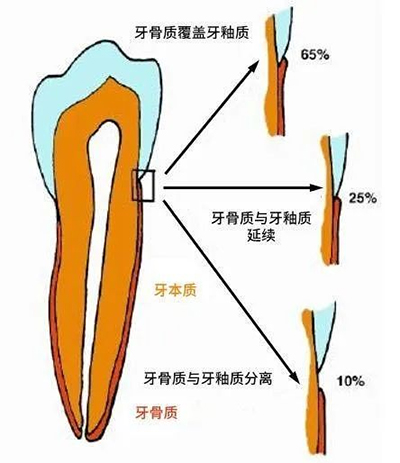 图片17.jpg 图片17.jpg