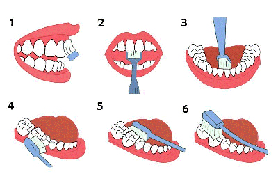图片18.jpg 图片18.jpg
