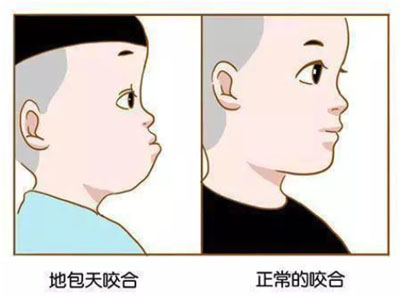 图片5.jpg 图片5.jpg