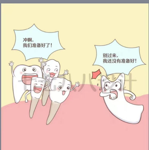 图片12.jpg 图片12.jpg