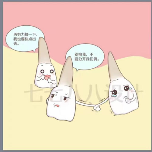 图片13.jpg 图片13.jpg
