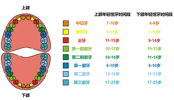 2 (3).png 2 (3).png