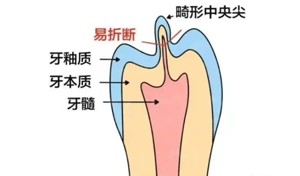 2 (4).png 2 (4).png