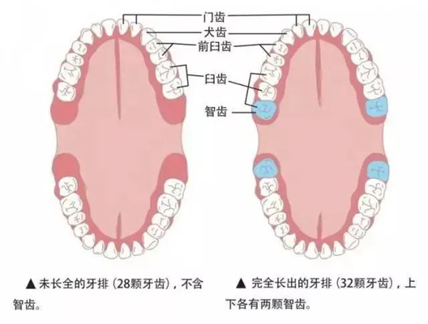 3 (2).png 3 (2).png