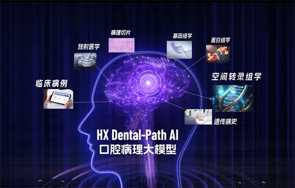 11-病例大模型.jpg 11-病例大模型.jpg