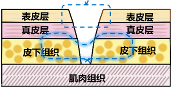 图片 14.jpg 图片 14.jpg