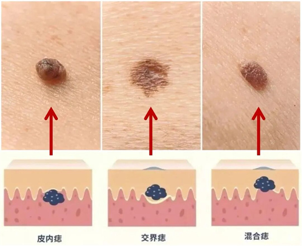 图片 42.jpg 图片 42.jpg
