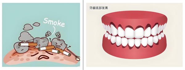图片 60.jpg 图片 60.jpg