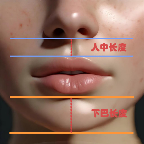 图片 33.jpg 图片 33.jpg
