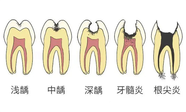 图片 48.jpg 图片 48.jpg