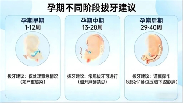图片 34.jpg 图片 34.jpg